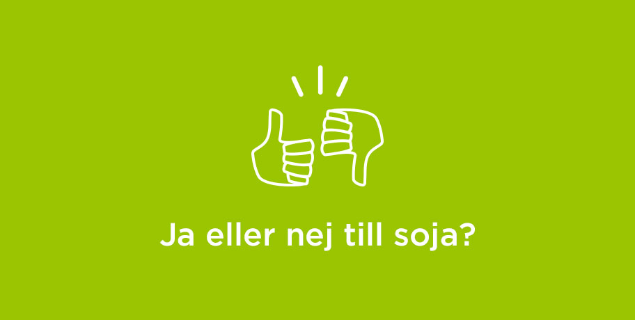 Soija – kyllä vai ei?